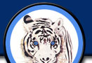 Welcome to the WWW.IRONPALM.COM Site.  iron palm, dim mak, iron palm videos, iron palm forms, iron palm meditations, iron palm dit dow jow, iron palm herbs