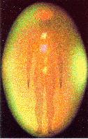 Click To See Enlarged View.